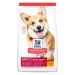 Hills SD Adult Small Bites, pollo y arroz – 2kg